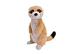 Wild Republic Ecokins Erdmännchen, Kuscheltier aus Stoff, Nachhaltiges Spielzeug, Baby Geschenk zur Geburt von Jungen und Mädchen, Stofftier 30 cm