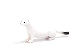 MOJO Ermine Frettchen, realistische Internationale Tierwelt, handbemalte Spielzeugfigur
