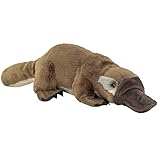Teddys Rothenburg Plüschtier Schnabeltier Kuscheltier 30 cm braun/grau Kuscheltier