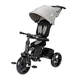 Bebeconfort Windy, Dreirad mit Schubstange, 10 Mon. bis 4 Jahre, 0–25 kg, auf das Kind einstellbar, bequemer Wendesitz, schützendes Verdeck, kompakt zusammenklappbar, Fahrrad Kinder, Tinted Grey