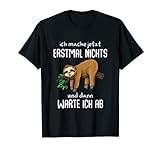 Faultier Geschenk Langschläfer Sloth Büro Arbeitskollege T-Shirt