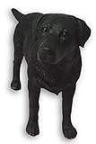Leonardo Collection Labrador Ornament Hund, Stein, Schwarz