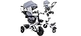 BDW Dreirad für Kinder, 4 in 1 Kinderdreirad mit Lenkbarer Schubstange, 360° Drehsitz， ab 9 Monate bis 5 Jahre, Belastbarkeit bis 25 kg (1)