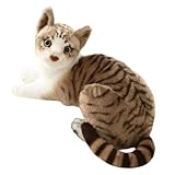 Xiyocadt Katze Kuscheltier, PlüSchtier Katze, Siamkatzen, Tabbykatzen. AußErgewöHnlich Flauschig Und Weich Im Griff, FüR Jungen Und MäDchen GleichermaßEn Geeignet. (26cm,Tabby-A)