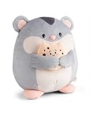 NICI MYMOCHI Kuscheltier Hamster Shai 27cm mit Keks grau - Stofftier aus weichem Plüsch, niedliches Plüschtier zum Kuscheln und Spielen, für Kinder & Erwachsene, tolle Geschenkidee - 61156
