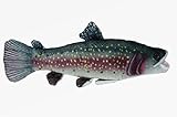 Cornelissen Plüschtier Forelle 26cm Kuscheltiere Stofftiere Fische Fisch Angler Flüsse