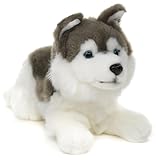 Uni-Toys - Husky grau, liegend - 31 cm (Länge) - Plüsch-Hund - Plüschtier, Kuscheltier