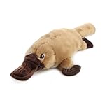 lilizzhoumax Schnabeltier-Plüsch 35cm/14”, Simuliertes Tier Kawaii Schnabeltier-Plüsch, Realistische Schnabeltier-Plüsch Spielzeug für Wilde Tiere, Geschenk für Freunde und Kinder pelziges Stofftier