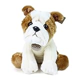 Teddys Rothenburg Kuscheltier Hund Französische Bulldogge 26 cm sitzend braun-weiß Plüschtier Stofftier Plüschhund Stoffhund