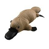 AQCQDQ Schnabeltier PlüSchtier,Niedliches Schnabeltier Plüschtier, Weiches PlüSchtier, SüßE Dekoration,Cartoon Schnabeltier Kissen Cartoon Plüschtier,Platypus Geburtstag Geschenk Kinder (30cm,Grau)