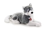 Trudi Husky Marcus Hund Plüschtier Spiel, Weihnachts- und Geburtstagsgeschenk | 26x33x60cm Grosse XL | Klassische Plüschhunde | Modell 22274