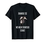 Stinktier Haustier T-Shirt I Skunk Liebhaber Geschenk