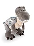 NICI Kuscheltier Dino Tony-Rex 25 cm – Stofftier aus weichem Plüsch, niedliches Plüschtier zum Kuscheln und Spielen, für Kinder & Erwachsene, 48810, tolle Geschenkidee, grau