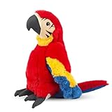 Quahzify Papagei Plüschtier, 30cm Vogel Papagei Stofftier Kuscheltier, Parrot Plüsch Spielzeug für Kinder, Niedliche Papagei Plüschpuppen Plüschtiere Geschenke für Jungen und Mädchen