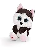 NICI Glubschis: Das Original – Glubschis Husky Barkley 15 cm – Kuscheltier Hund mit großen Augen – Flauschiges Plüschtier mit großen Glitzeraugen – Schmusetier für Kuscheltierliebhaber – 45558