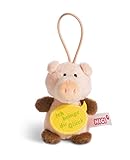 NICI 44869 Anhänger Schwein mit Spruch Ich bringe dir Glück 8cm mit Loop, Rosa/Braun