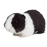 GVMJHYK Meerschweinchen Kuscheltier - Realistische Hamster Plüschtiere Spielzeug, Weich Kuscheltiere Puppe Spielzeug Dekor für Jungen Mädchen Partybedarf Geburtstagsgeschenk Schwarz und weiß