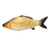 JazRvr 1 Stück Fisch Kuscheltier, Realistischer Singender Fisch, Weiches Plüschtier Für Kinder, Dekorative Fisch Deko Für Sofa, Bett Und Auto