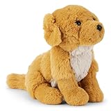 Zappi Co Bailey der Goldene Retriever Plüschhund (20 cm) - Goldie Hund - Weich, Kuschelig, Recycelt - Perfekter Familienbegleiter