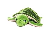 Habibi Plush Premium - 1836 Wasserschildkröte grün - mit herausnehmbarem Körnerkissen - Wärmestofftier zum Erwärmen in der Mikrowelle/Backofen