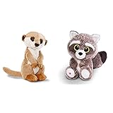 NICI Kuscheltier Erdmännchen 15 cm – Erdmännchen Plüschtier für Mädchen, Jungen & Babys 46343 & Glubschis: Das Original – Glubschis Waschbär Clooney 25 cm – Schmusetier für Kuscheltierliebhaber –45569