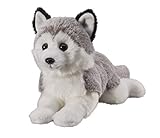 Deine Tiere mit Herz Bauer Spielwaren Husky liegend: Kleines Kuscheltier zum Kuscheln und Liebhaben, ideal als Geschenk, 18 cm, grau-weiß (12505)