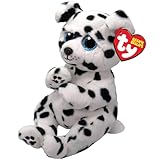TY Rowdy Dalmation Beanie Bellies Regular - Squishy Beanie Baby Soft Plush Toys - Collectible Cuddly Stuffed Teddy