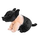 Uni-Toys - Angler Sattelschwein Ferkel rosa-schwarz - 20 cm (Länge) - Plüsch-Schweinchen, Schwein - Plüschtier, Kuscheltier