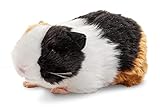 Uni-Toys - Meerschweinchen - 20 cm (Länge) - Plüschtier, Kuscheltier