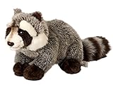 Uni-Toys - Waschbär - 23 cm (Länge) - Plüsch-Bär, Waldtier - Plüschtier, Kuscheltier