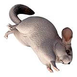 OSALADI Simuliertes Chinchilla Modell Aus Kunststoff Lebensecht Realistische Wohndeko Büro Geschenk
