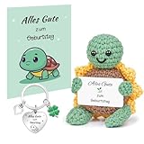 Szhhrxi Positive Schildkröte Geburtstagsgeschenk, Pocket Hug Kuscheltier Schildkröte mit Grußkarte & Glücksbringer, Kreative Handgemachte Turtle Puppe Geschenk für Freundin Frauen Mama (Geburtstag)