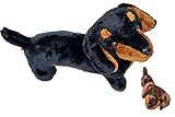 PMS 30cm Wurst Hund Teddy Dachshunds Dackel Plüschtier