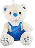 VRasehorn Schutzengel Bär ca. 20 cm Plüsch sitzend mit Flügeln- Schutzengelbär - Glücksbär Teddy -Teddybär Engel - Blau