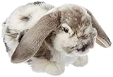 Living Nature AN316 Soft Toy Dutch Lop Ohr-Kaninchen, Grau und Beige, Sortierte Farbe, 30 cm, Unbekannt