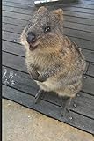 Cute Quokka Journal: A notebook or diary with 120 blank pages, college ruled