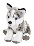 Wild Republic Pocketkins Eco Husky, Plüschtier, 12 cm, Plüschspielzeug, Hergestellt aus recycelten Materialien, Umweltfreundlich