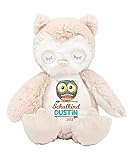 Kuscheltier Schultüte Löwe Teddy Hase Katze Eule Schulanfang Plüschtier personalisiert mit Schulkind Name (Eule)