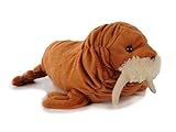 Euro Souvenirs Plüschtier Walross 34 cm, Kuscheltiere Stofftiere Robbe Robben Walrosse Eismeer Tier