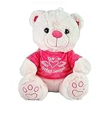 VRasehorn Schutzengel Bär ca. 20 cm Plüsch sitzend mit Flügeln- Schutzengelbär - Glücksbär Teddy -Teddybär Engel - Pink/Rosa