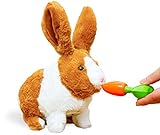 Think Gizmos Interaktives Spielzeug Kaninchen-Spielzeug für Jungen und Mädchen im Alter von 3 - 8 - Elektro-nisches Kinder Spielzeug Kaninchen mit Ton und Bewegung - TG813
