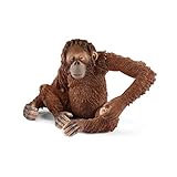 schleich WILD LIFE | Orang-Utan Weibchen 14775 | detailgetreue Tierfiguren | Zoo Spielzeug | tolles Geschenk für Jungen und Mädchen | Deko für Geburtstag | Spielfigur ab 3 Jahren | 8 x 6 x 6 cm