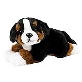 Teddys Rothenburg Kuscheltier Berner Sennenhund 25 cm schwarz/braun/weiß liegend Plüschhund