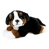 Teddys Rothenburg Kuscheltier Berner Sennenhund 25 cm schwarz/braun/weiß liegend Plüschhund