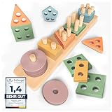 Sweety Fox Montessori Spielzeug ab 1 Jahr - Holz Sortier & Stapelspielzeug, 1 2 3 Jahre -Aktivitäts & Entwicklungsspielzeug aus Holz in Pastellfarben – Montessori - Lernspielzeug für Kleinkinder