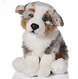 EBO 40109 - Australian Shepherd, sitzend