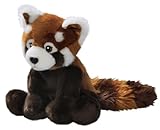 Carl Dick Roter Panda, Katzenbär sitzend, Plüschtier, Kuscheltier ca. 25cm, ca. 37cm mit Schwanz 3155