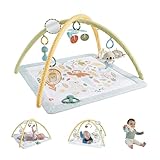 FISHER-PRICE Simply Senses Sensorische Erlebnisdecke - mit Plüsch-Koala, Spiegel, Rassel, Beißring und knisterndes Spielzeug, maschinenwaschbare Spielmatte, für Neugeborenen, HRB15