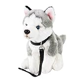 Teddys Rothenburg Kuscheltier Husky mit Leine sitzend grau/weiß 25cm (ohne Schwanz) Plüschhusky Plüschhund Uni-Toys