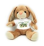 personalisierter Hase Traktor Kuscheltier 2023 für die Zuckertüte Schultüte mit Geschenk Einschulung 1. Klässler (Traktor)